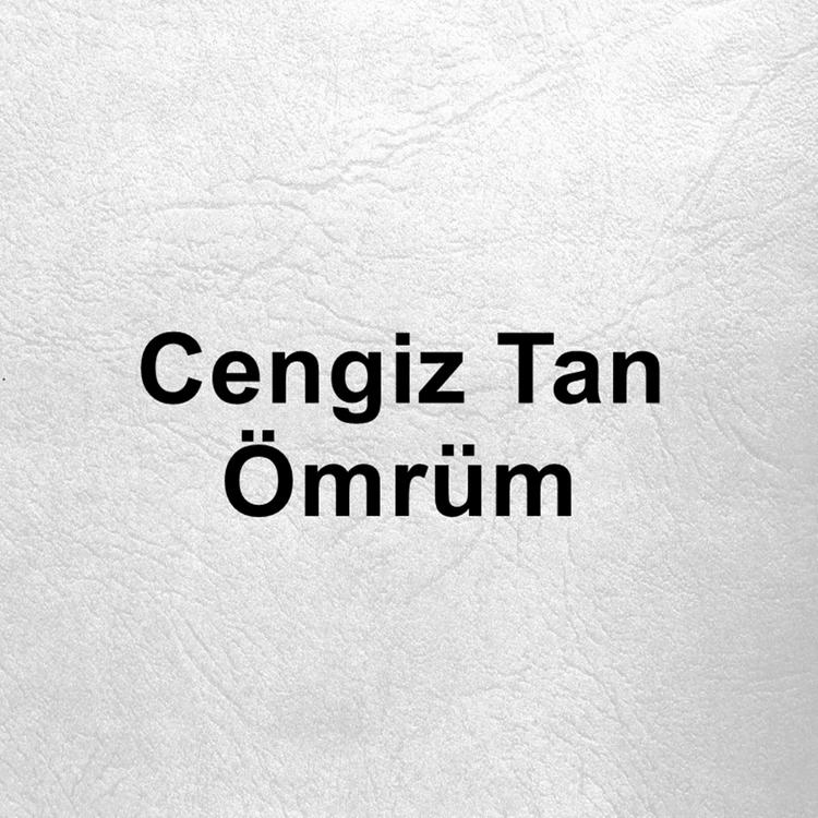 Cengiz Tan's avatar image