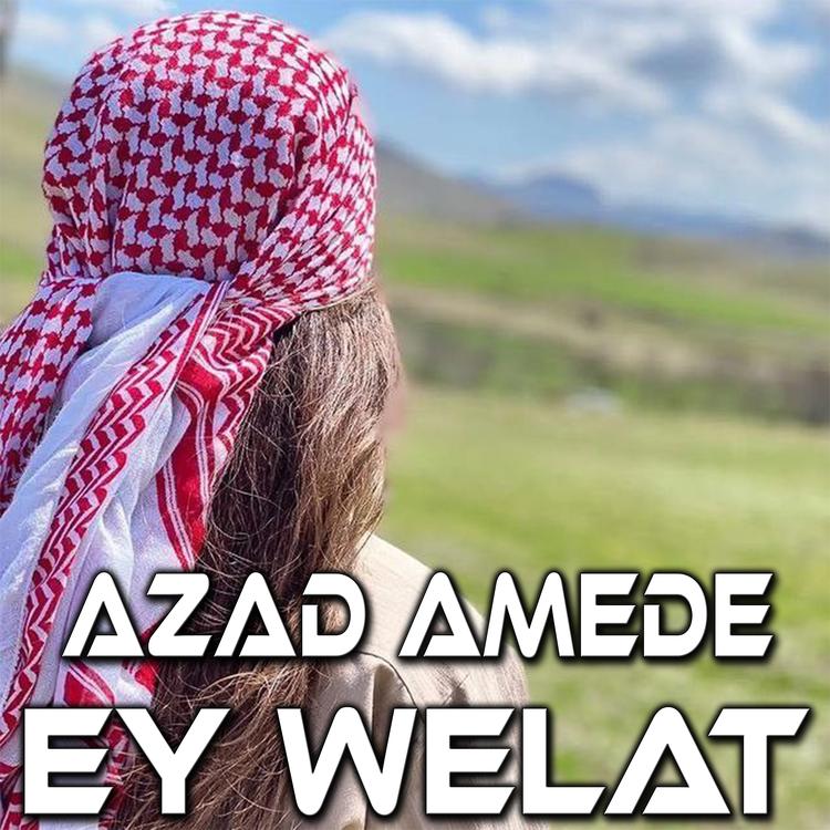 Azad Amedê's avatar image