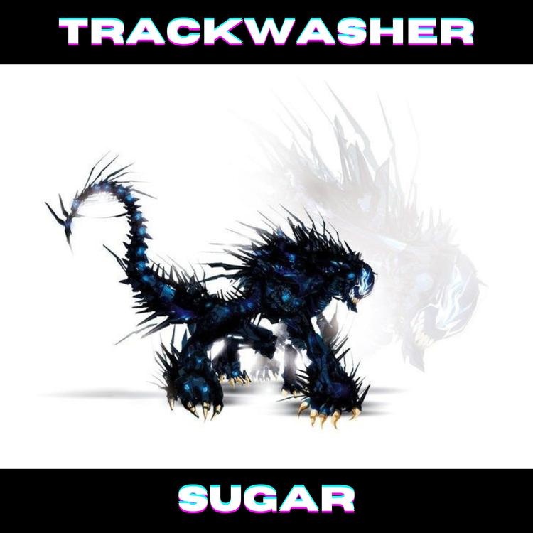 Trackwasher's avatar image