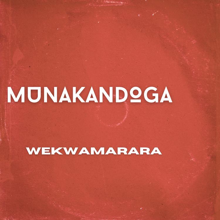 WekwaMarara's avatar image