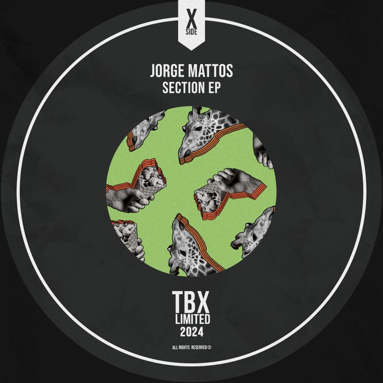 Jorge Mattos's avatar image