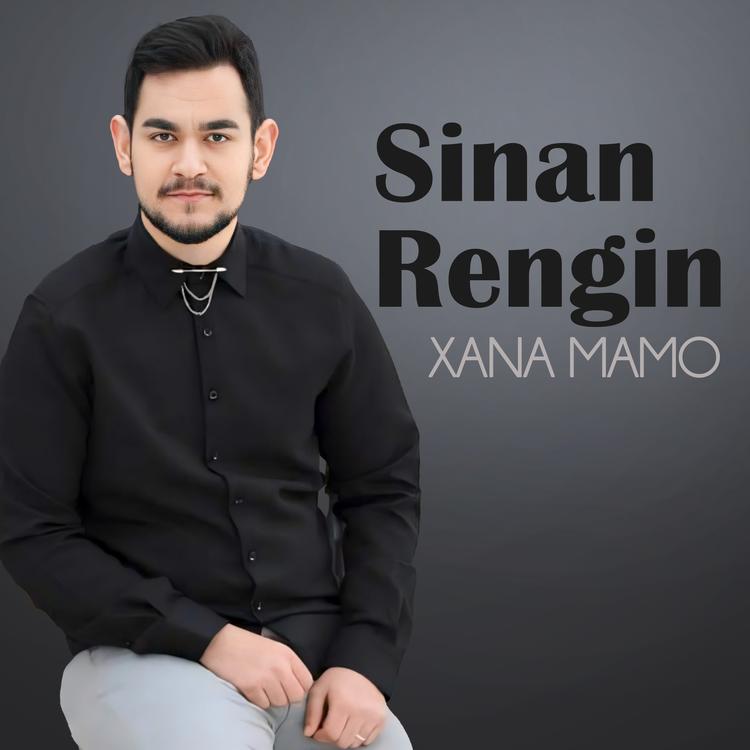 Sinan Rengin's avatar image