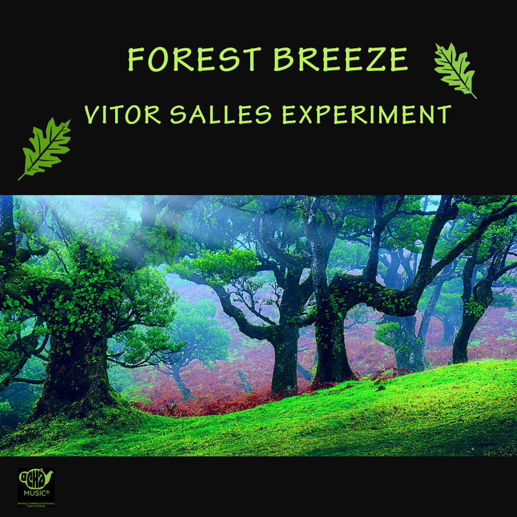 Vitor Salles Experiment's avatar image