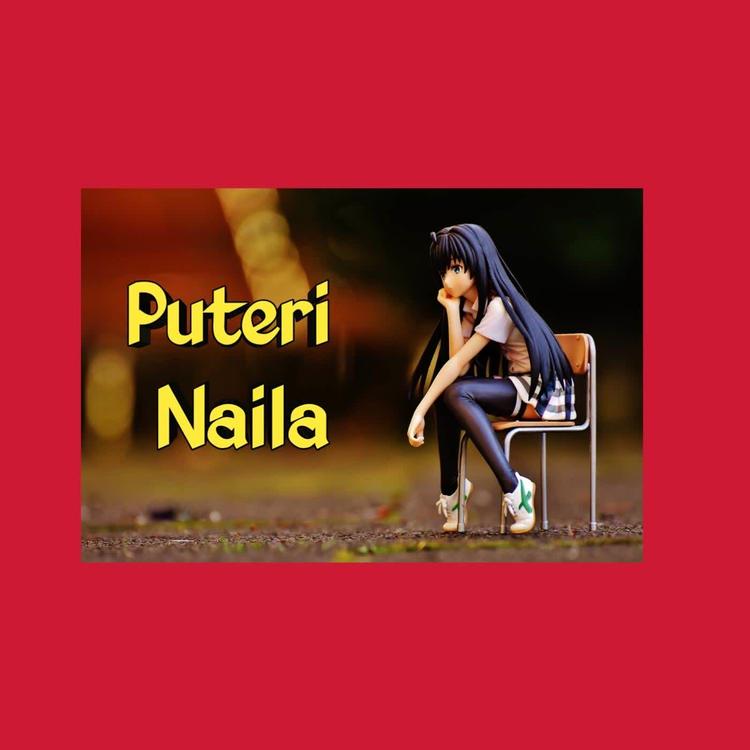 puteri naila's avatar image