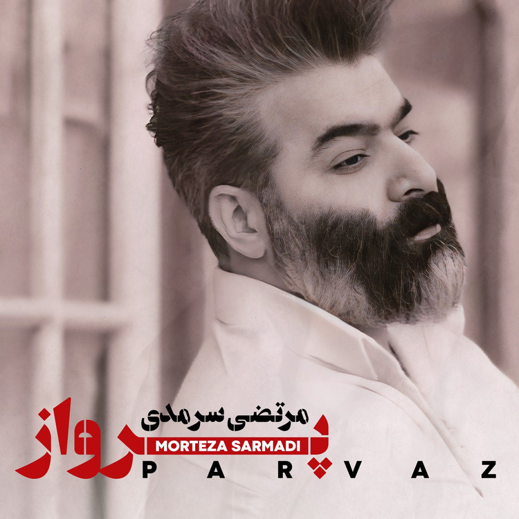 Morteza Sarmadi's avatar image