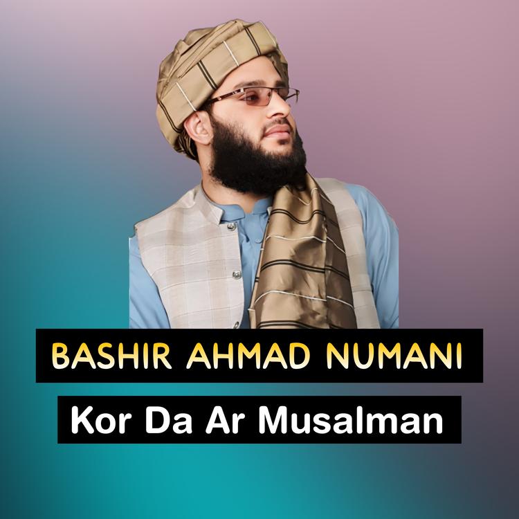 Bashir Ahmad Numani's avatar image
