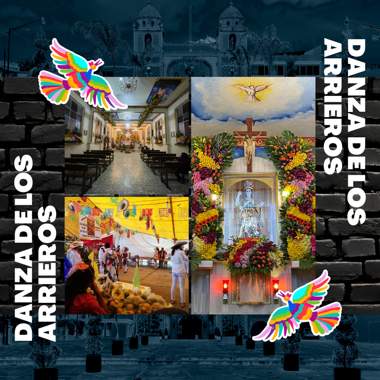 Festival San Miguelito TV's avatar image