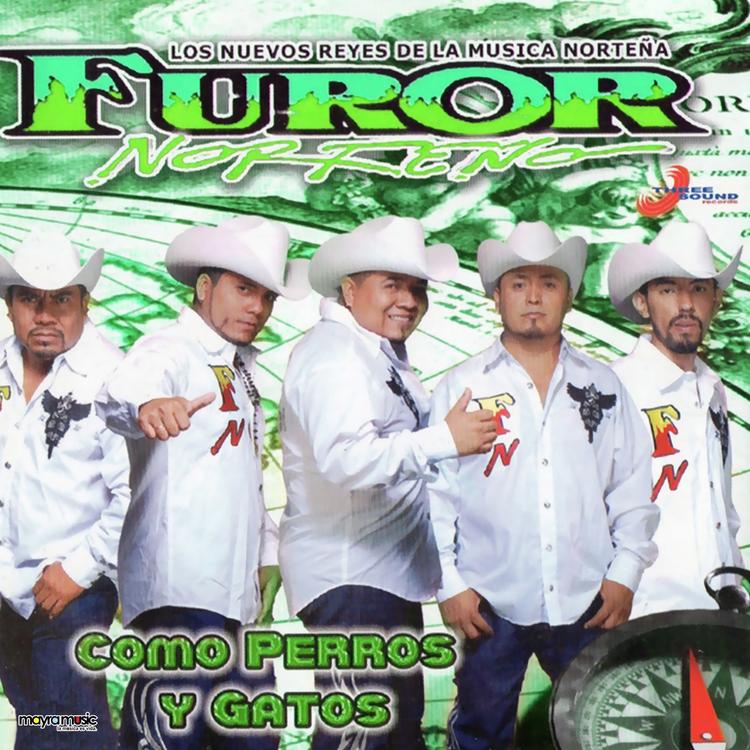 Furor Norteno's avatar image