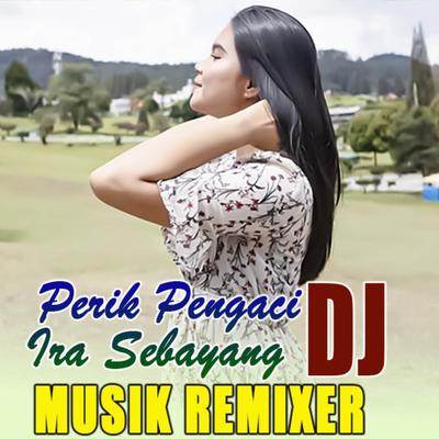 PERIK PENGACI's cover