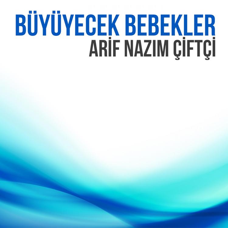 Arif Nazım Çiftçi's avatar image