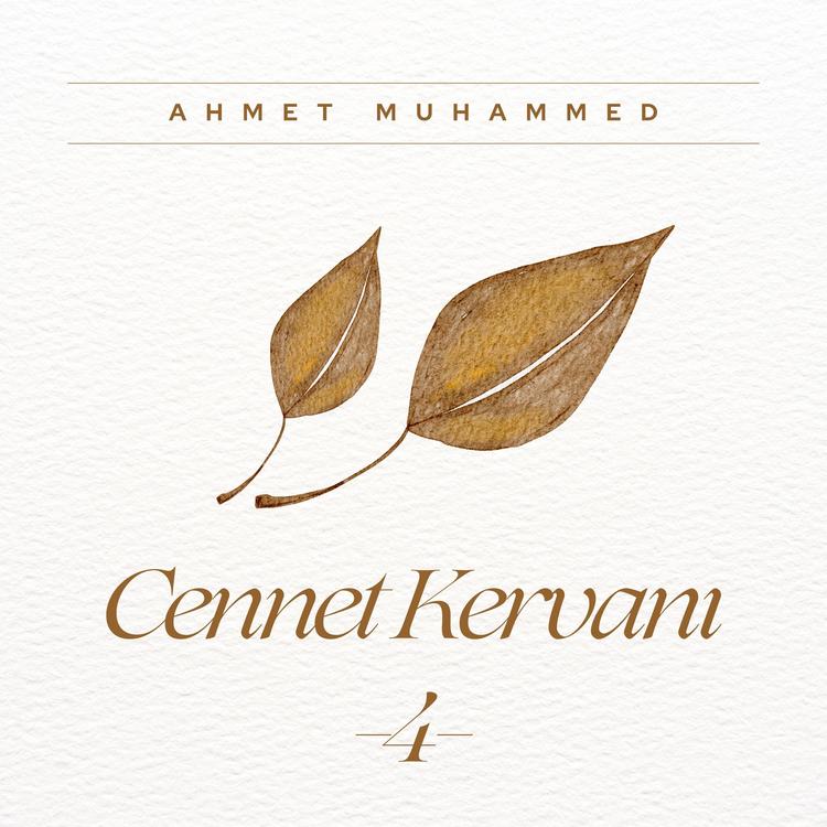 Ahmet Muhammed's avatar image