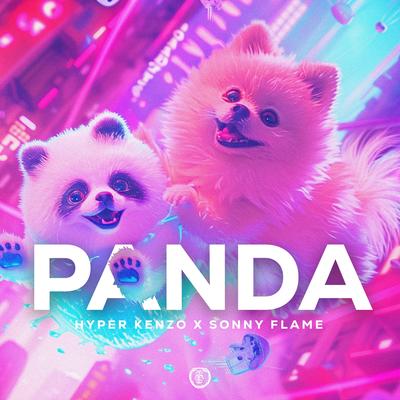 Panda (Techno Version) By Hyper Kenzo, Sonny Flame's cover