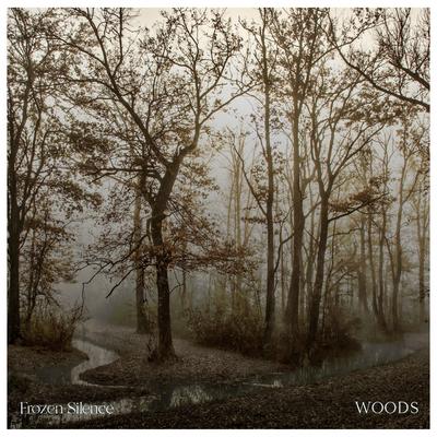 Woods By Frozen Silence's cover