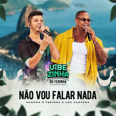 Não Vou Falar Nada (Vibezinha do Ferinha)'s cover