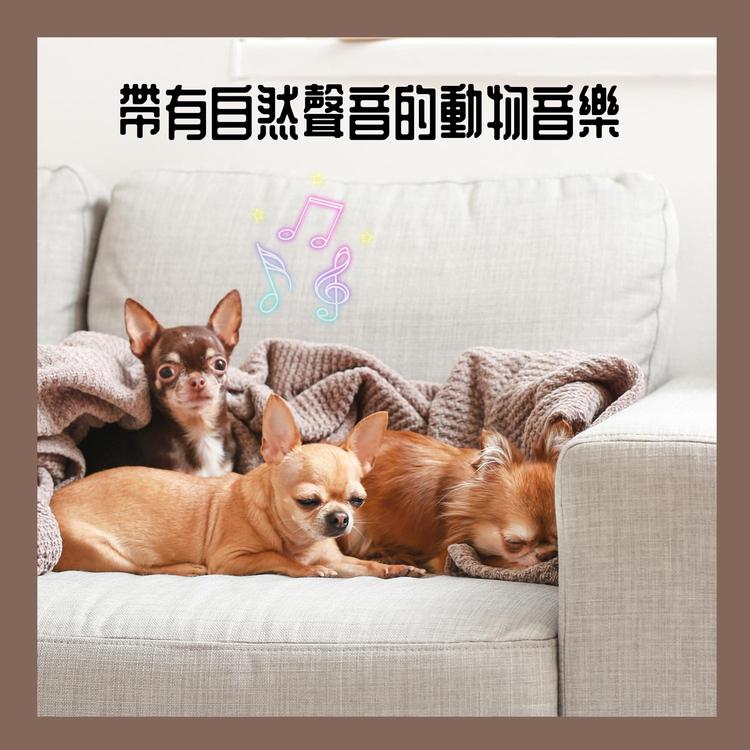 BS 動物的舒緩聲音's avatar image