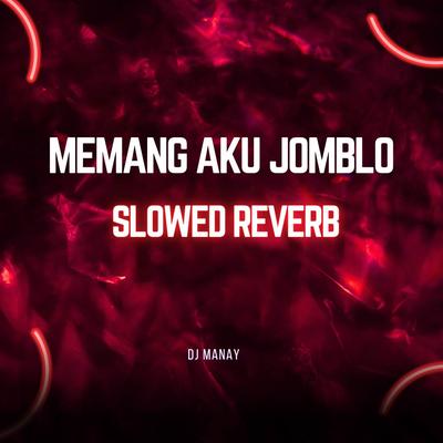 Memang Aku Jomblo (Slowed Reverb)'s cover