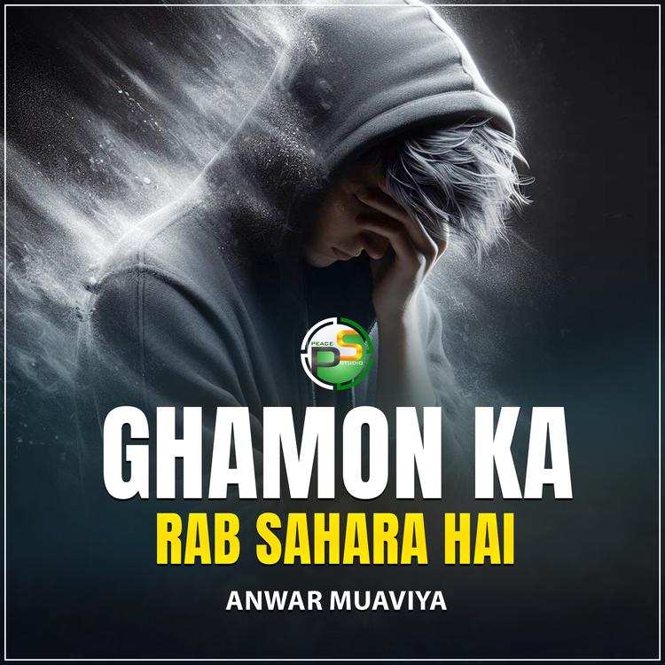 Anwar Muaviya's avatar image