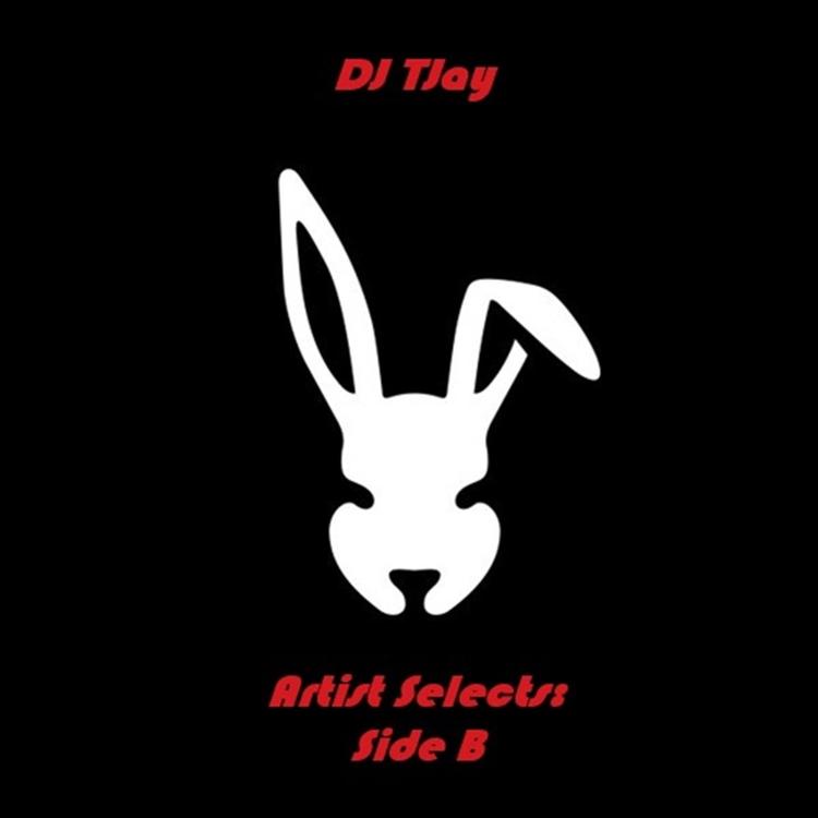 DJ T-Jay's avatar image