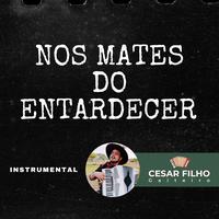 Cesar Filho's avatar cover