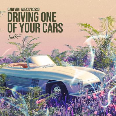 Driving one of your cars By Dani Vidi, Alex D'Rosso's cover