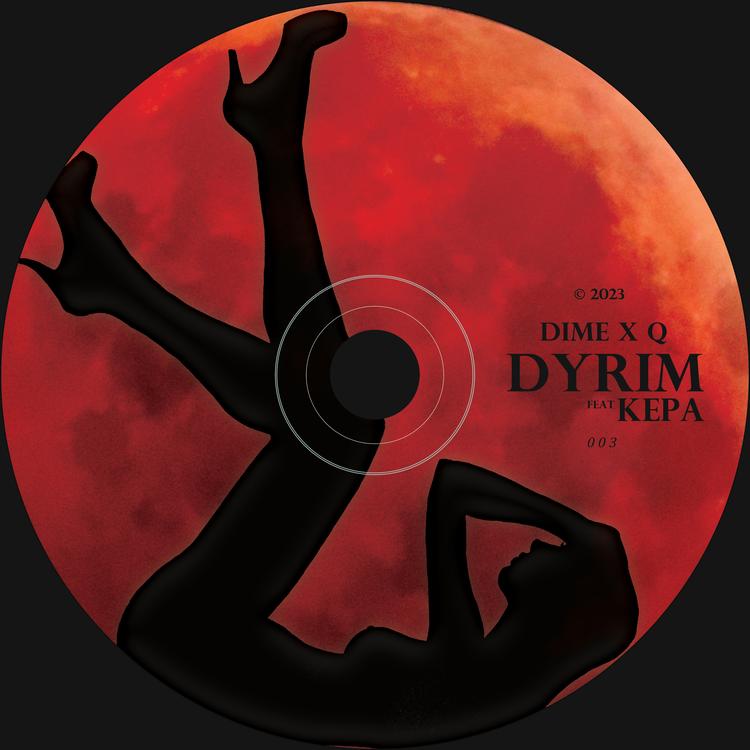 Dyrim's avatar image