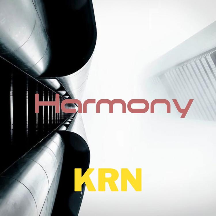 KRN's avatar image