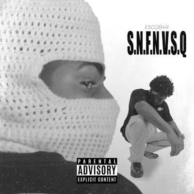 S.N.F.N.V.S.Q's cover