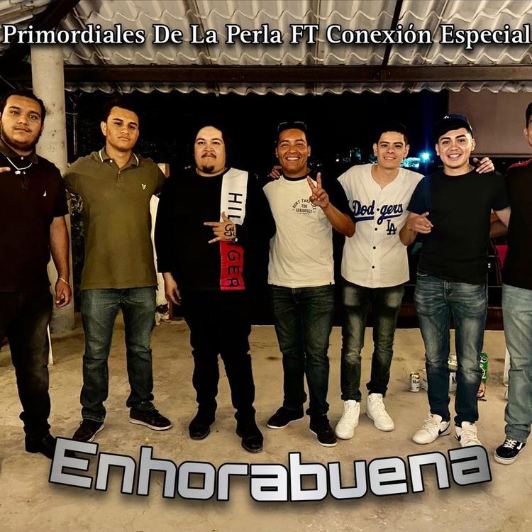 Primordiales De La Perla's avatar image