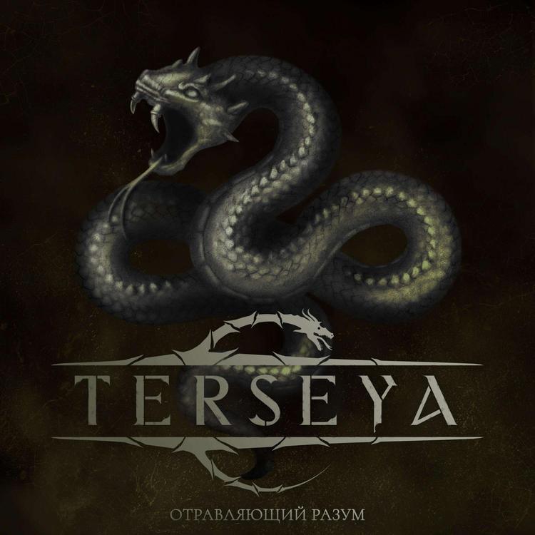 TERSEYA's avatar image