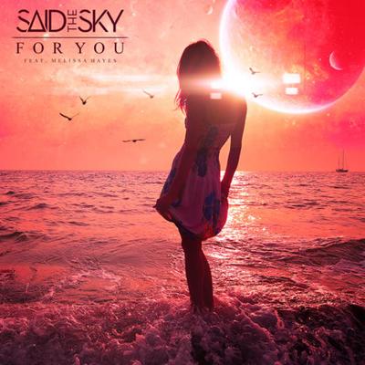 For You (feat. Melissa Hayes) (For You (feat. Melissa Hayes)) By Melissa Hayes, Said The Sky's cover