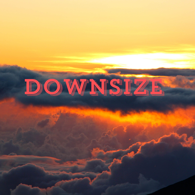 Downsize's cover