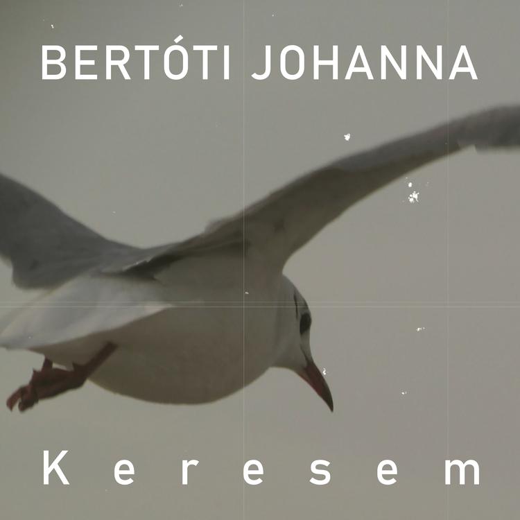Bertóti Johanna's avatar image