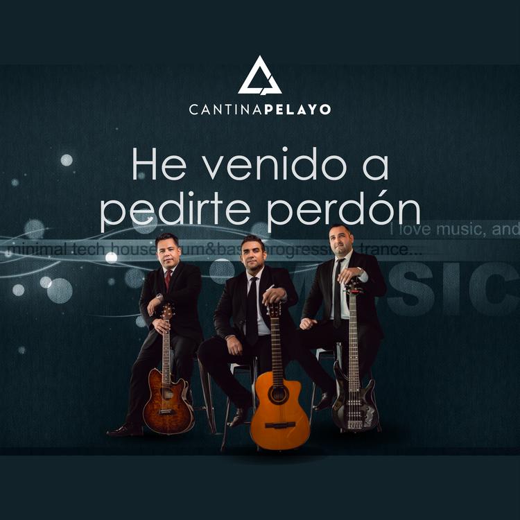 CANTINA PELAYO's avatar image