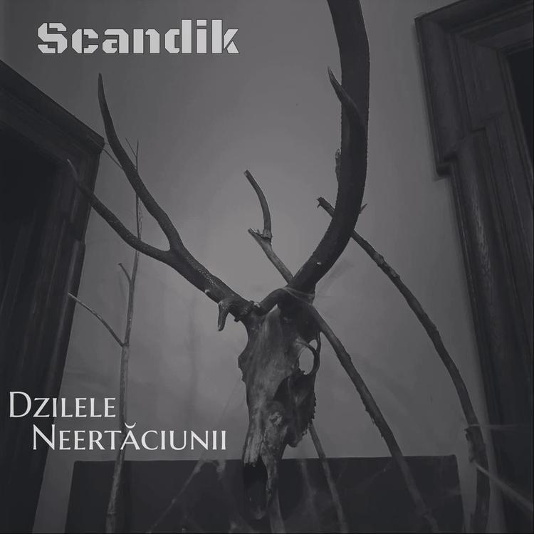 Scandik's avatar image