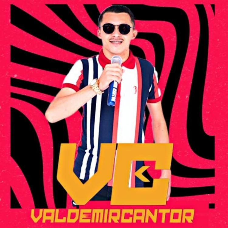 Valdemir Cantor's avatar image