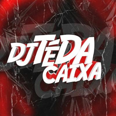 MTG - VEIO PRA FLORIPA By DJ T.E DA CAIXA's cover