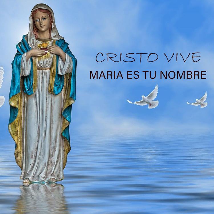 CRISTO VIVE's avatar image