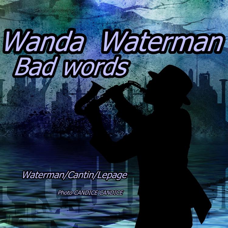 wanda waterman's avatar image