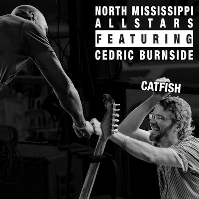 Catfish By North Mississippi Allstars, Cedric Burnside's cover