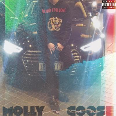 Molly & Goose's cover