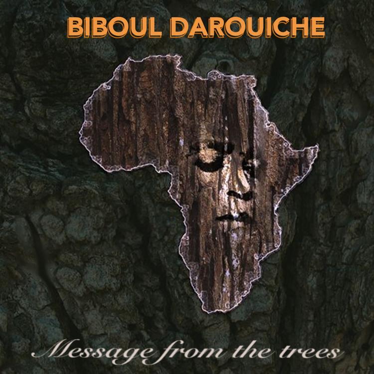 Biboul Darouiche's avatar image