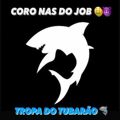 Coro nas do Job X Tropa do Tubarão By DG DO BROOKLYN's cover