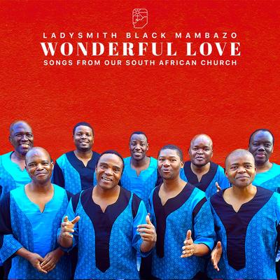 Wonderful Love (Live)'s cover