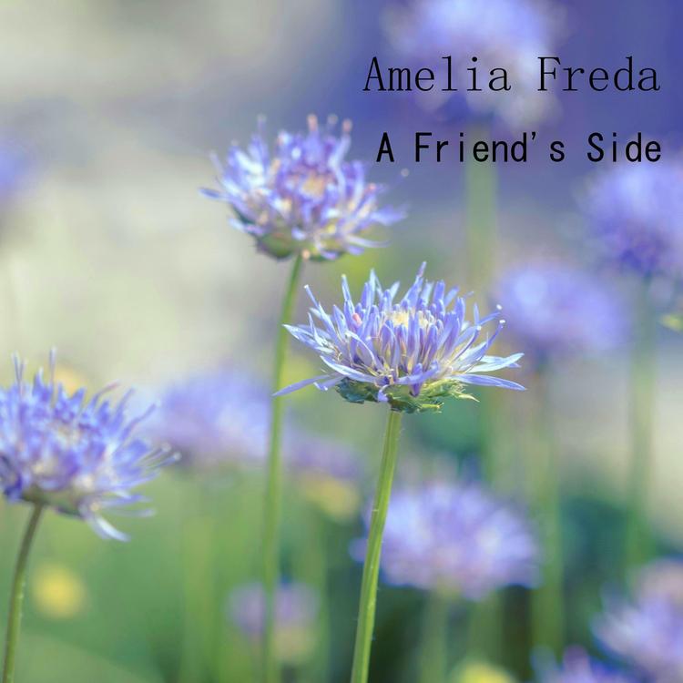 Amelia Freda's avatar image