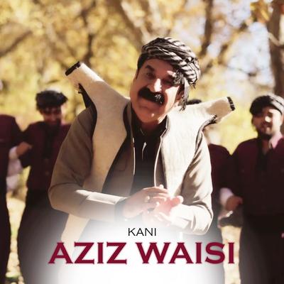 Aziz Waisi's cover