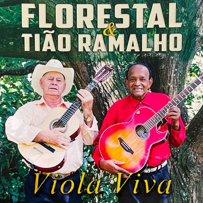 Viola Viva (Ao Vivo)'s cover