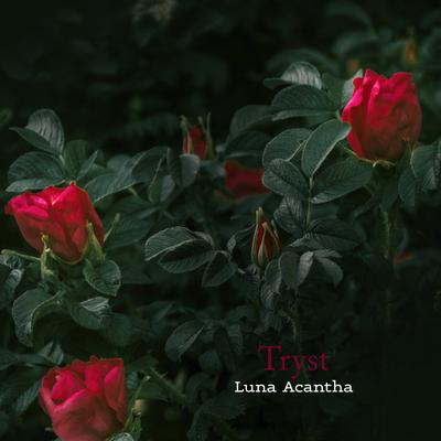 Tryst By Luna Acantha's cover