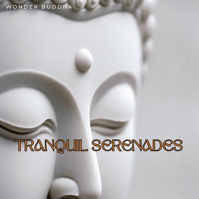 Tranquil Serenades: Beyond the 432 Hz Horizon's cover