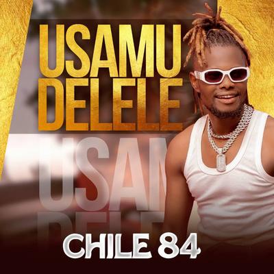 Chile 84's cover