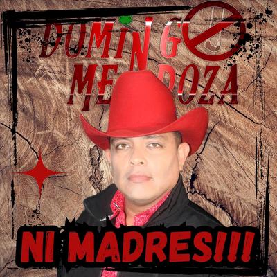 Domingo Mendoza's cover